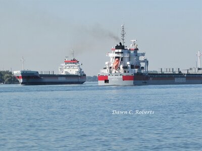 Fraserborg and Beatrix meet above Stag Island.