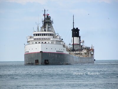 Mississagi coming off Lake Huron.