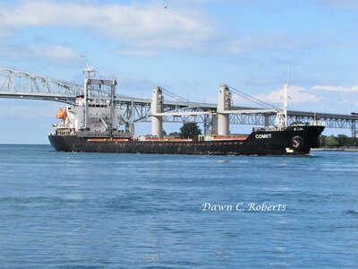 Gorgeous skies reflected in the water as saltie Comet enters the St. Clair River.