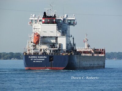 Algoma Niagara (Hamilton) making the big curve above Marysville.
