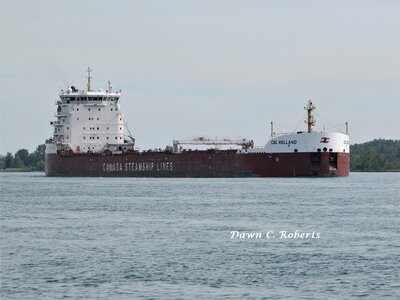Despite the fairly early morning hour, because of increasing pleasure boat traffic, CSL Welland (Montreal) was sounding warning blasts from above Marysville to Stag Island.