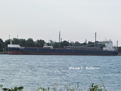 Algoma Sault refueling at the Corunna (Shell) Fuel Dock.