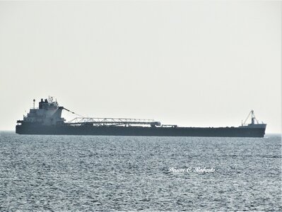Algoma Buffalo above the Bluewater Bridges on a hazy Sunday morning.