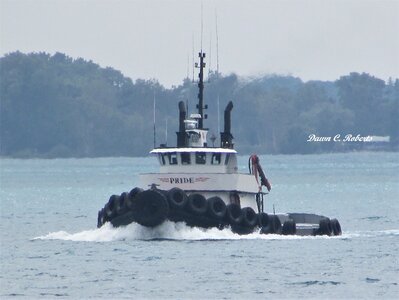 Tug Pride headed home to Sarnia. As a toddler living near the Choptank River (MD), I learned to love the sound of tugboat horns