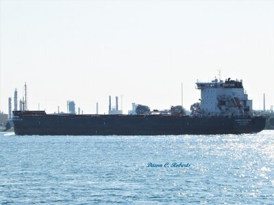 Algoma Harvester entering Chemical Valley.