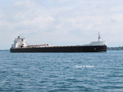 American Mariner ("CBT" Cleveland?) at St. Clair as the day becomes more humid.