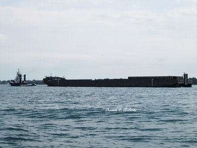 Tug Anglian Lady and barge (Sault Ste. Marie) start the late morning river traffic rush at St. Clair.