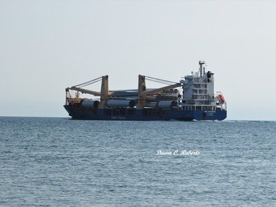 Saltie BBC Rushmore (Bay City) off Lighthouse Park.