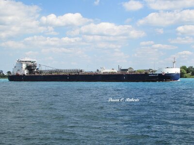 Algoma Sault (Ashtabula) at Marysville.