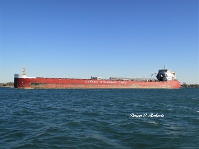 Another surprise was CSL Baie Comeau (SSM), also at St. Clair.