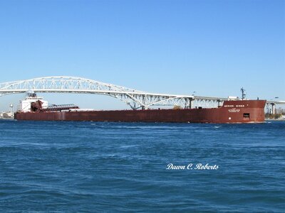 Mesabi Miner, with coal for the St. Clair Power Plant.