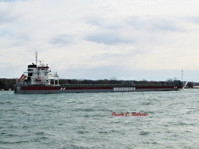 Saltie Beatrix (Montreal) just below Marysville.