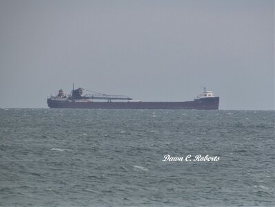 Lee A. Tregurtha in the Sarnia Anchorage, waiting out the strong winds and waves. (PRT was too far out for even my zoom lens.)