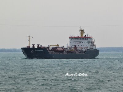 2021-03-10b Algocanada.jpg