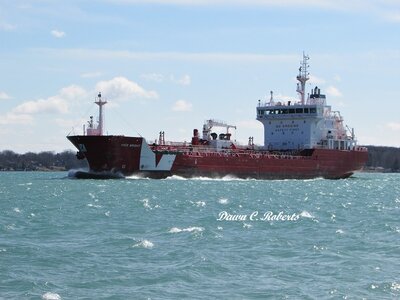 Iver Bright (Sarnia) upbound at Marysville, bucking wind and waves.