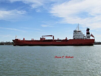 Profile of AlgoTerra.
