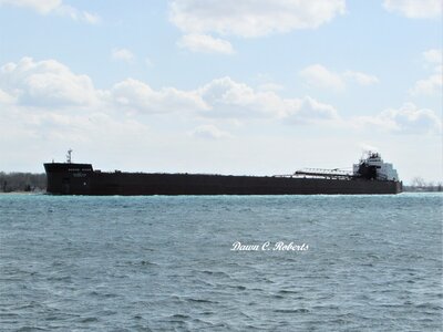 Mesabi Miner (Silver Bay) above Stag Island.