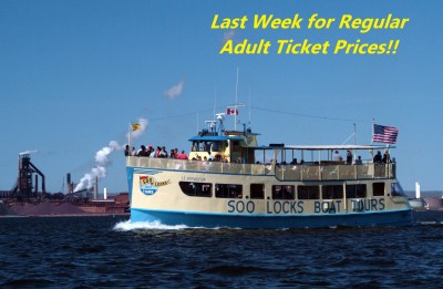 Last Week Regular Pricing - Smaller Copy.jpg (835.6 KiB) Viewed 6389 times Last Week Regular Pricing - Smaller Copy.jpg