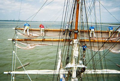 R1--1A.jpg