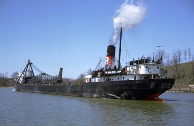 Avondale-1968-tb.jpg