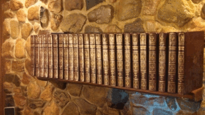 encyclopedias on shelf.gif