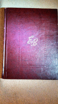 book cover pic4.gif