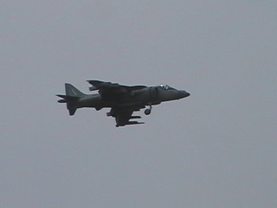 PANA3535.JPG