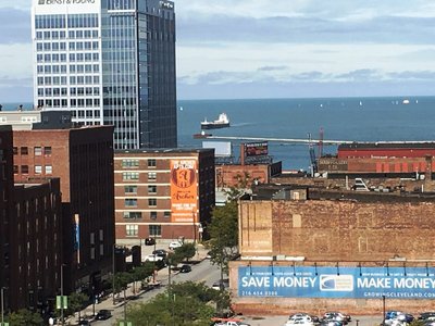 2015104buffalo2.jpg