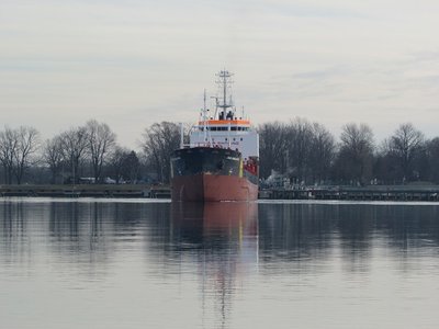 2015-12-25f Step 5.jpg