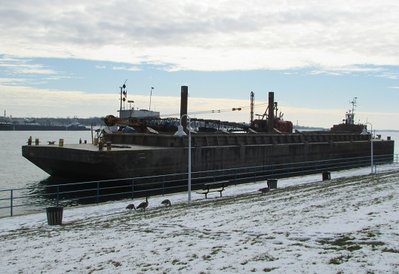 View of the entire consist.  (Oh, that's a RR term, isn't it?)