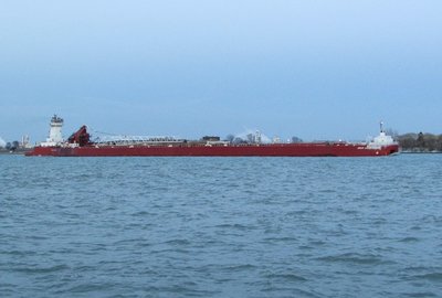 2016-04-05g JVE & GLT.jpg (114.09 KiB) Viewed 1567 times With the last hint of daylight fading quickly, Joyce VanEnkevort and Great Lakes Trader were down-bound with cargo loaded at Stoneport. No current destination given.
