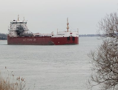 Thunder Bay on her way to the Detroit River with unspecified cargo.