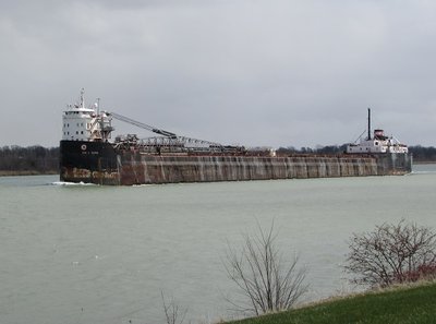 John D. Leitch riding high, in ballast, up-bound to Goderich.  That "striped coat" makes me think of either a zebra or one of those fancy little dogs with their long, flowing coats!