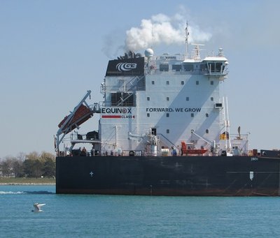 The cargo of grain she has aboard is going to Hamilton.