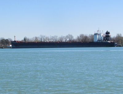 Algoma Discovery began her trade as a saltie (1987-2009).  She visited the Great Lakes as Daviken.