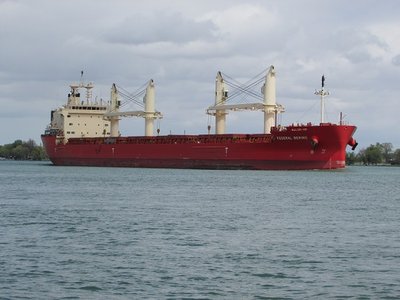 2016-05-15d FedBering.jpg (96.17 KiB) Viewed 3266 times Later, Federal Bering followed her fleet mate, with the same destination.