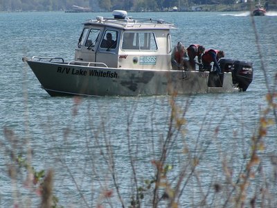 RV Lake Whitefish working in the river between Marysville and St. Clair.
