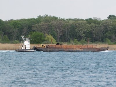 Wasn't able to make out the name of this little tug and couldn't find it on AIS either.