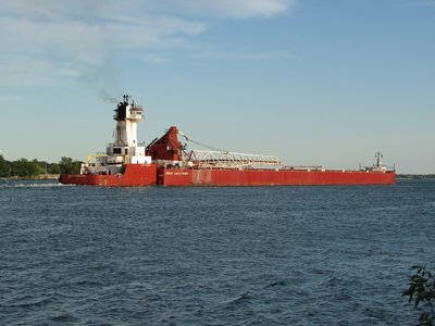 Standing in one place, I could see Joyce Van Enkevort/Great Lakes Trader down-bound to Cleveland, and two up-bound ships approaching.
